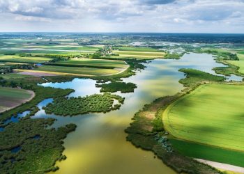 Giornata Onu per la diversità biologica